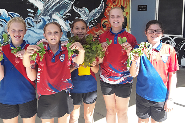 Walkerston State School with produce