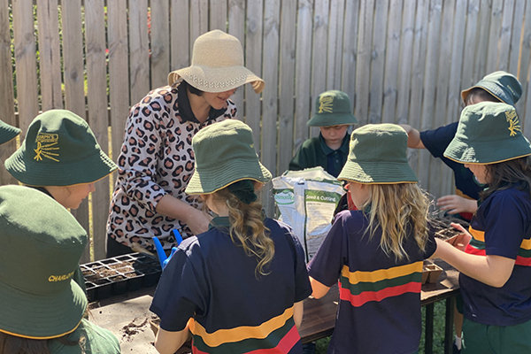 Students plant seeds for the garden